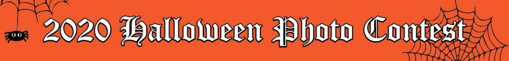web-banner